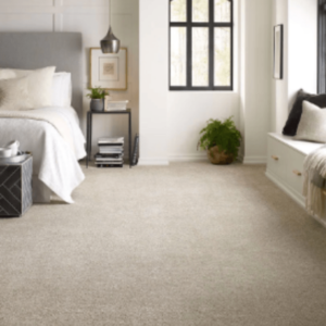 Highlands Ranch Carpet Cleaning