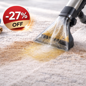 Pet Spot Cleaning – Odor & Stain Removal