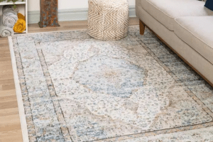 Rug Cleaning Arvada CO