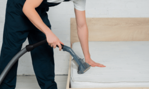 Professional Furniture Cleaning Aurora CO