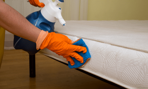 Blog - Carpet Couch Cleaning