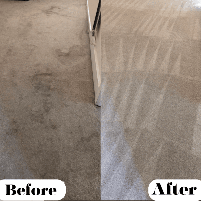 Our Work | Carpet Couch Cleaning