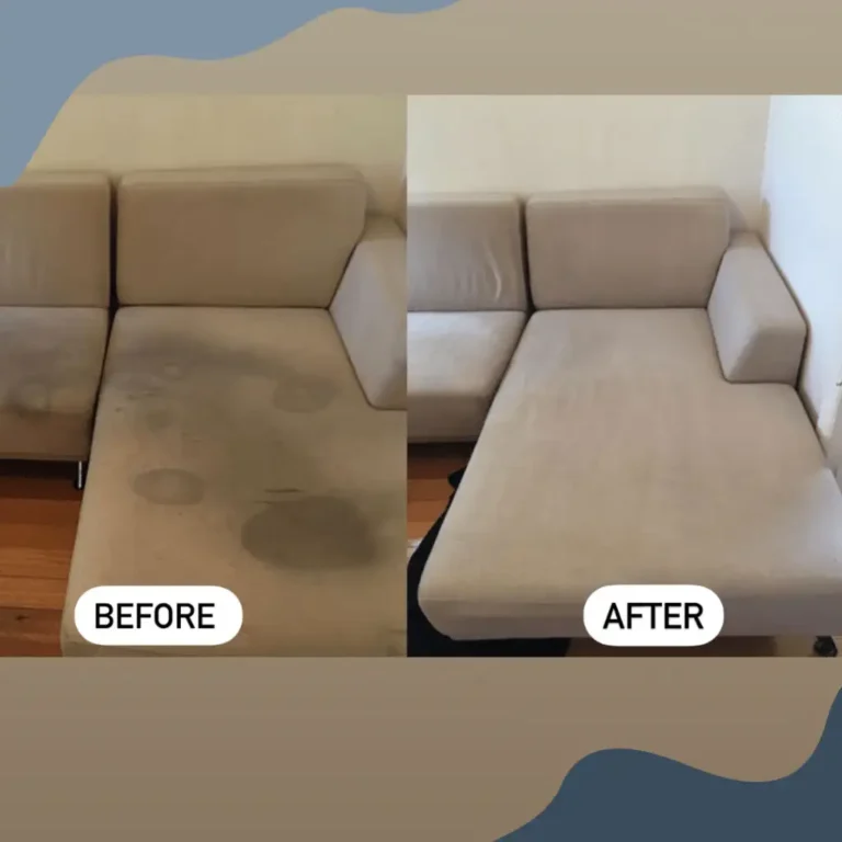 Lakewood CO carpet cleaning